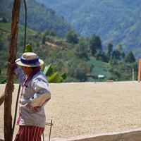 Guatemala, Bella Vista