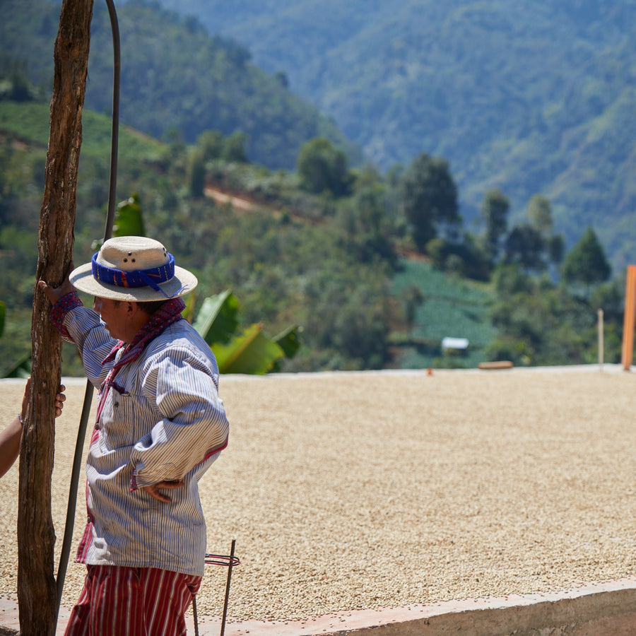 Guatemala, Bella Vista