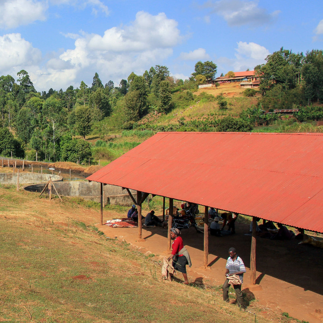 Kenya, Kainamui AA