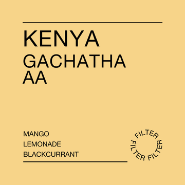 Kenya, Gachatha AA