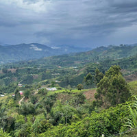 Colombia, El Meson