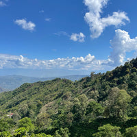 Colombia, Finca El Sinaí